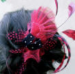fascinators